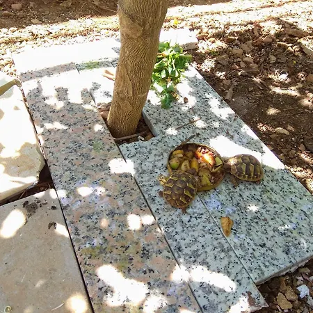 With Parking Space Sali, Dugi Otok - 8181 Apartamento