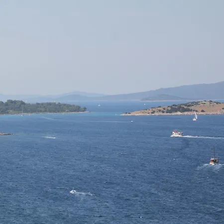 With A Parking Space Sali, Dugi Otok - 8181 Apartamento Sali