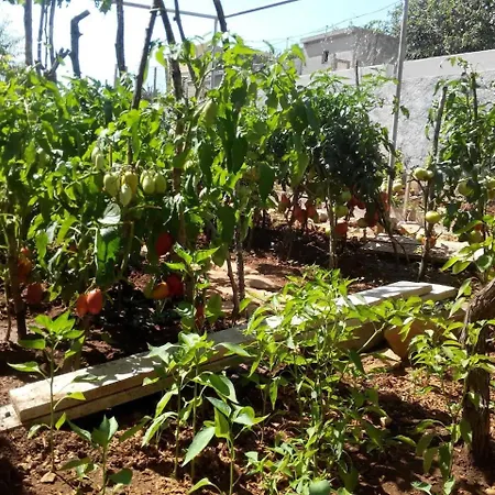 Appartement With Parking Space Sali, Dugi Otok - 8181 Sali