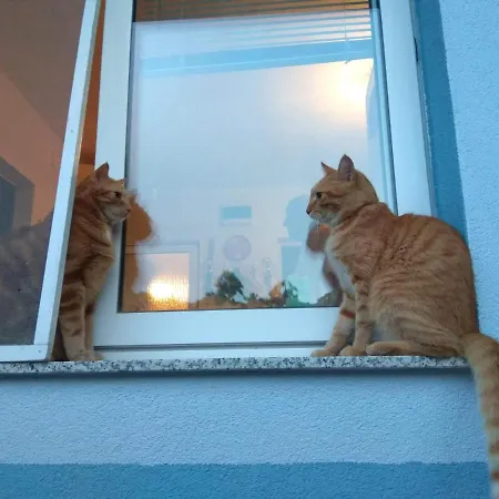 With Parking Space Sali, Dugi Otok - 8181 Sali