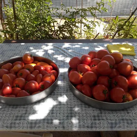 Apartamento With Parking Space Sali, Dugi Otok - 8181 *