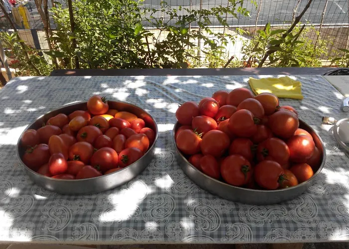 아파트 With Parking Space Sali, Dugi Otok - 8181 *