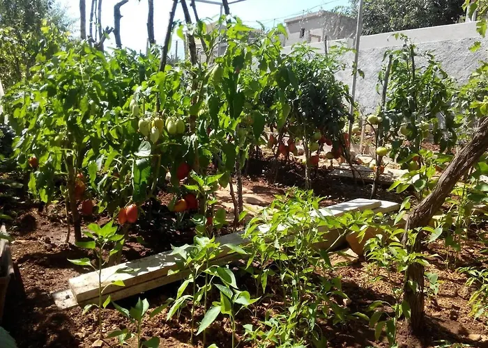 아파트 With Parking Space Sali, Dugi Otok - 8181 살리